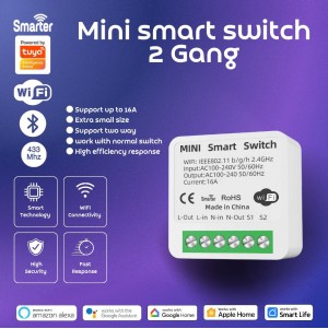 Mini Smart Switch 2 Gang support 1 line (cozy life) 16A